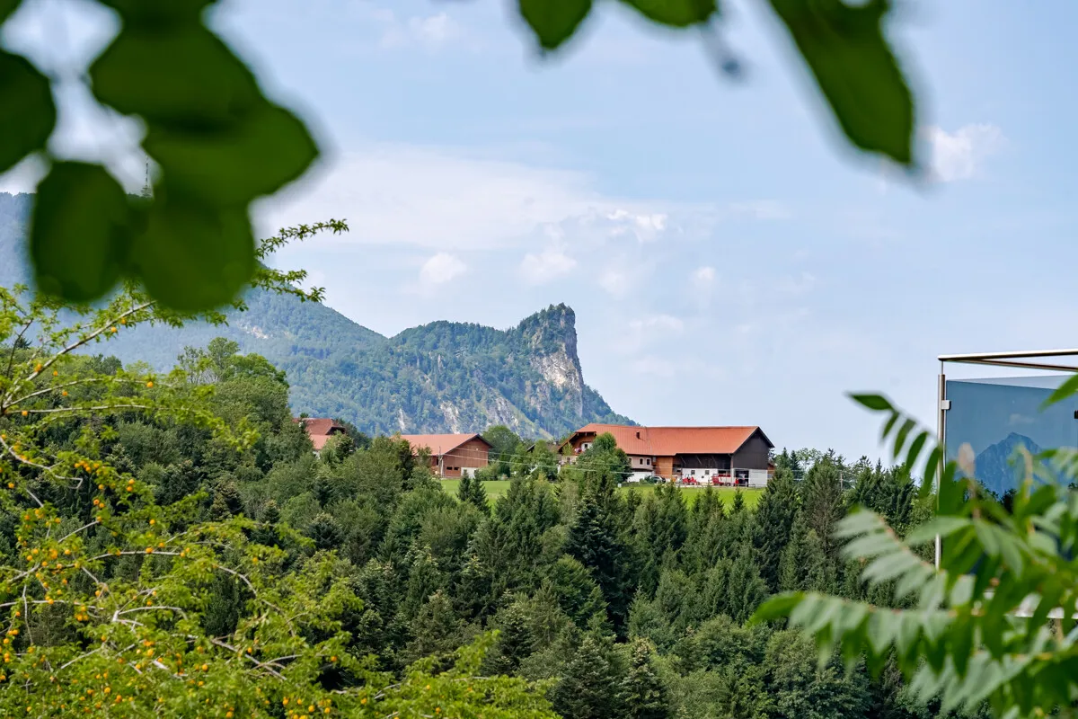 Plot "Bergwärts", image 3