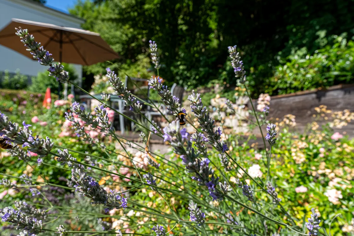"ROCOCO GARDEN": Historic Roof Garden Apartment in the Former Bath House, image 25