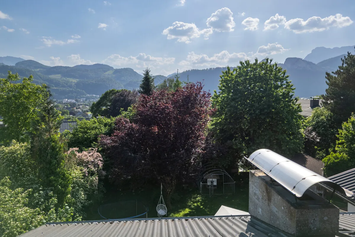 New Development Project "Das Riedl" Unit 6 Top Floor with 2 Balconies, image 8