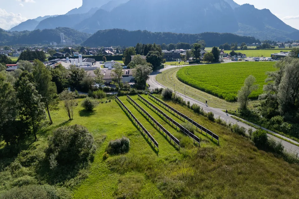 XL plot - "PLATZ DER IDEEN"