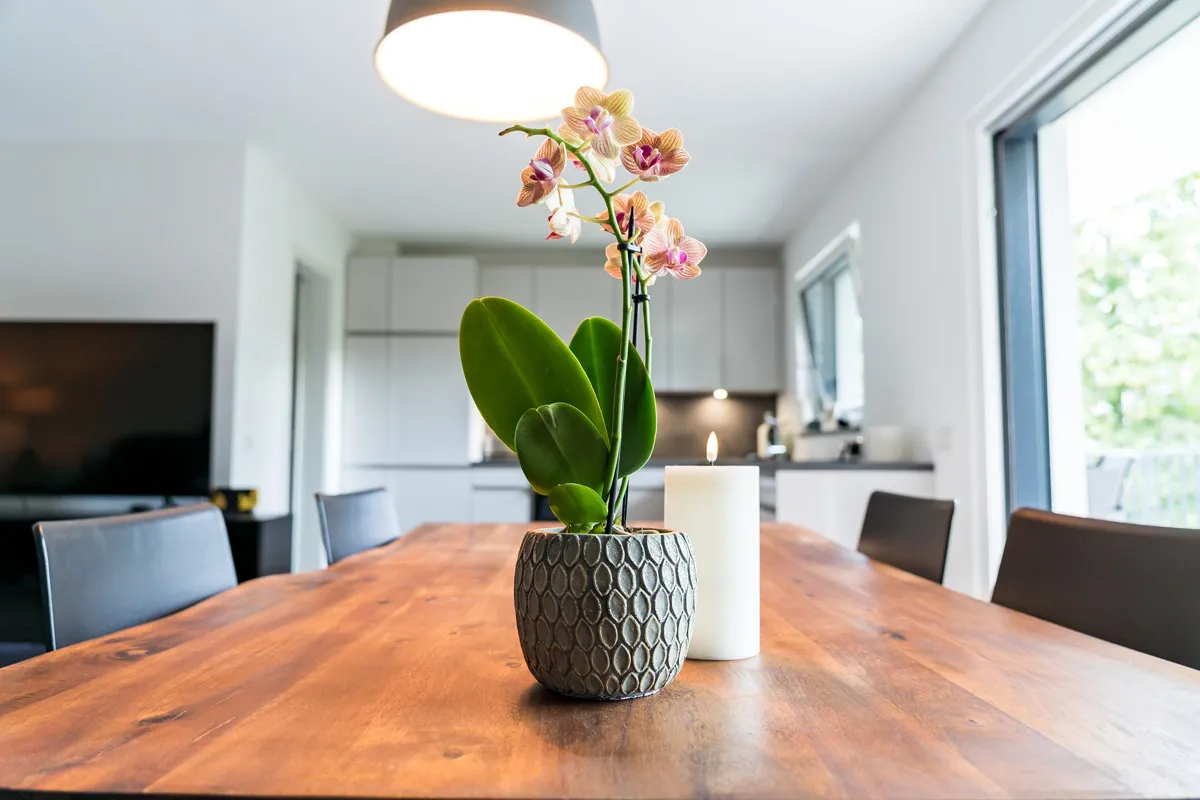 Modern 3-room apartment ''Baumkrone'', image 21