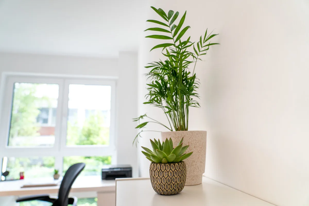 Modern 3-room apartment ''Baumkrone'', image 15