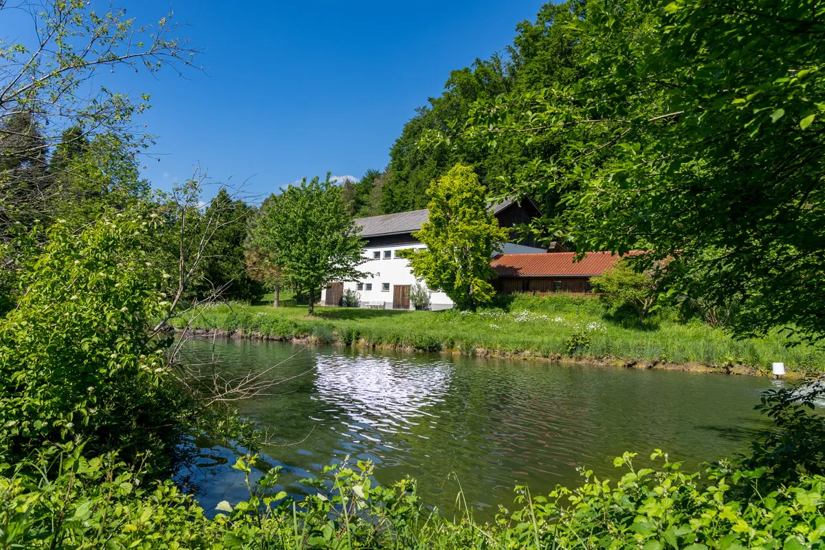 Gut Seeleiten, image 34