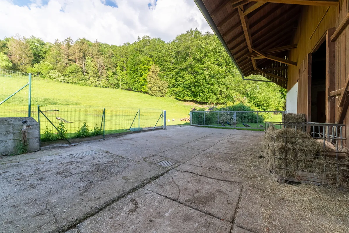 Gut Seeleiten, image 51