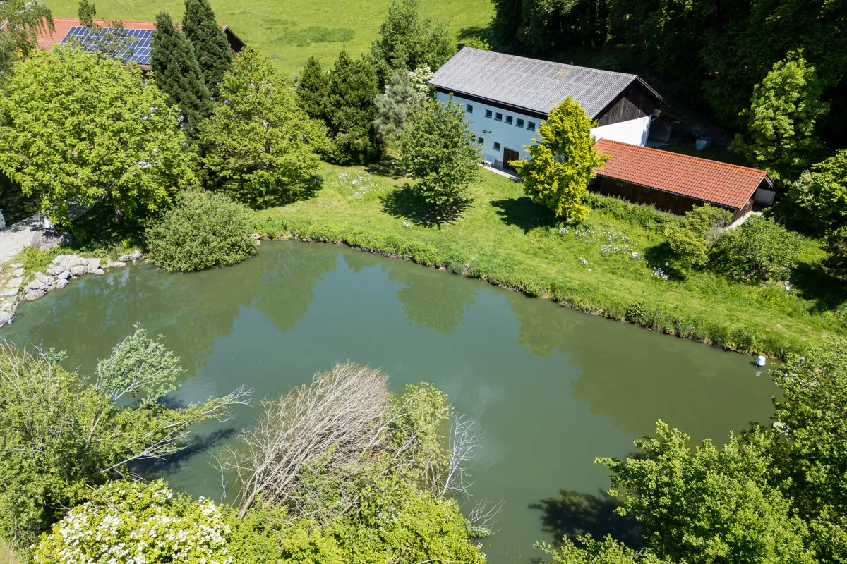 Gut Seeleiten, image 35