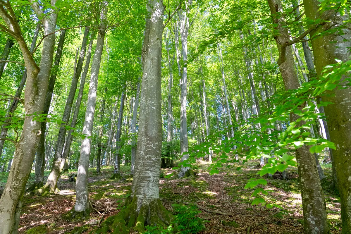 Gut Seeleiten, image 52