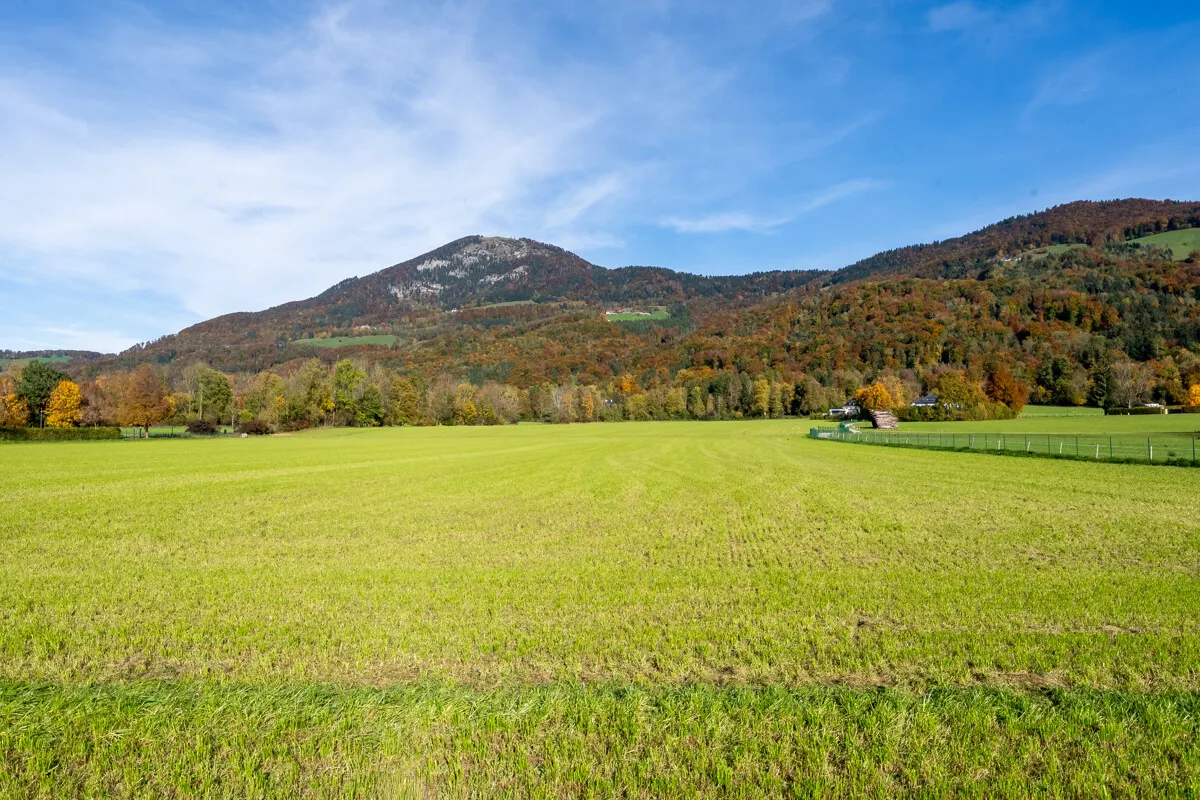 Plot "Lieblingsplatz" in Aigen, image 8