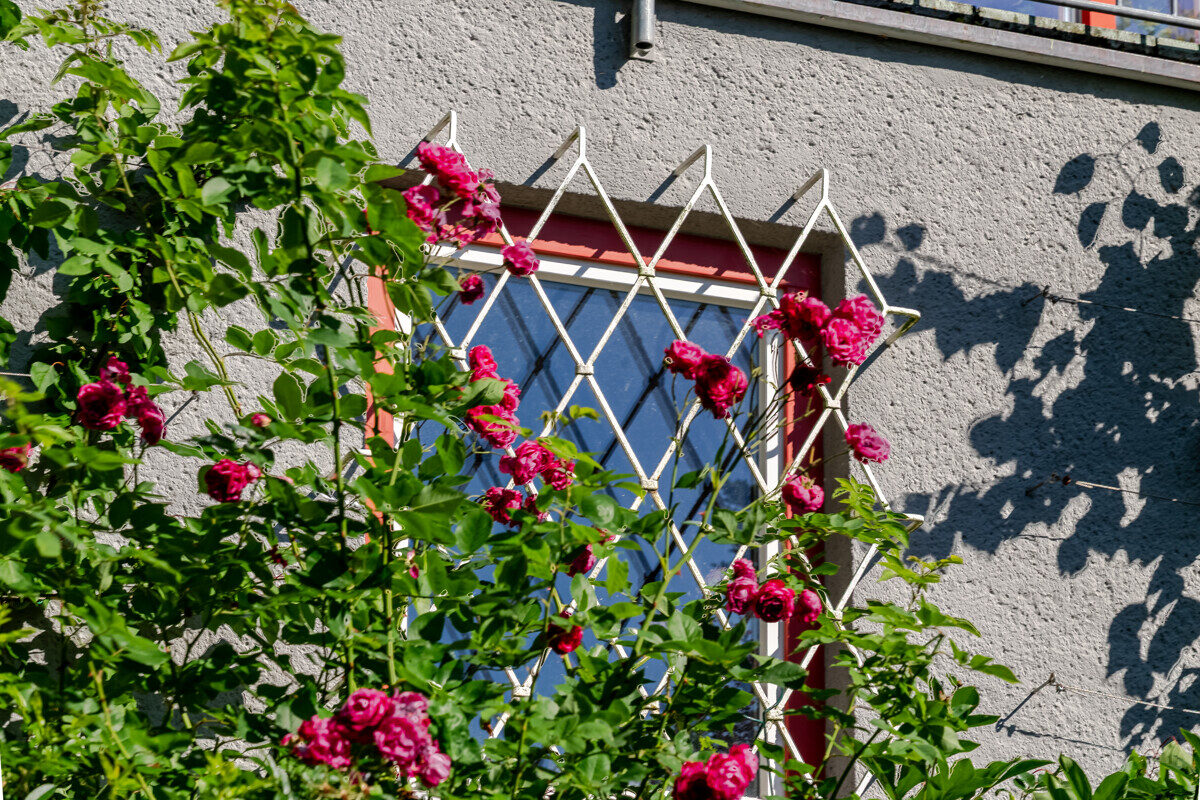 Villa “Rose”