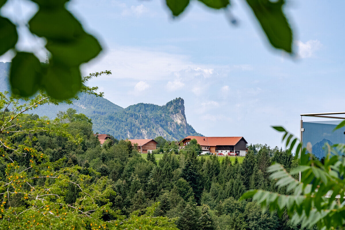 Grundstück “Bergwärts”