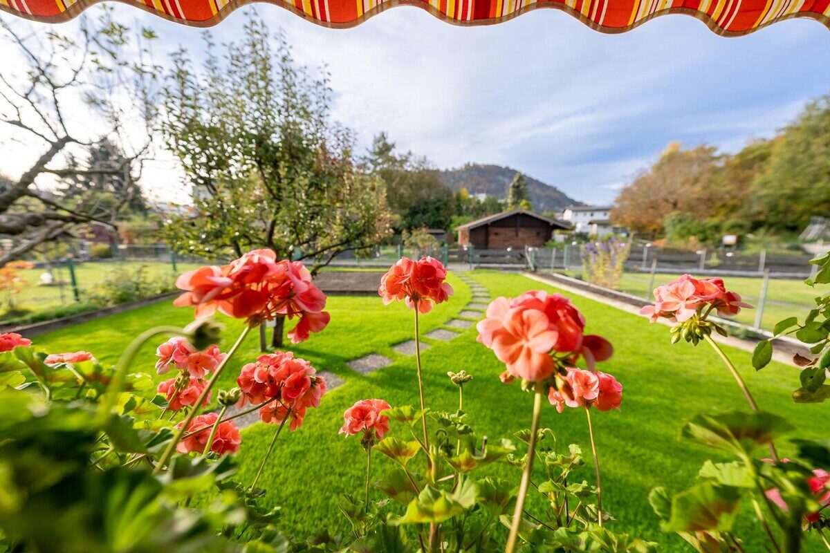 Gartenhaus “EDEN” auf 267 m² Eigengrund statt Pacht