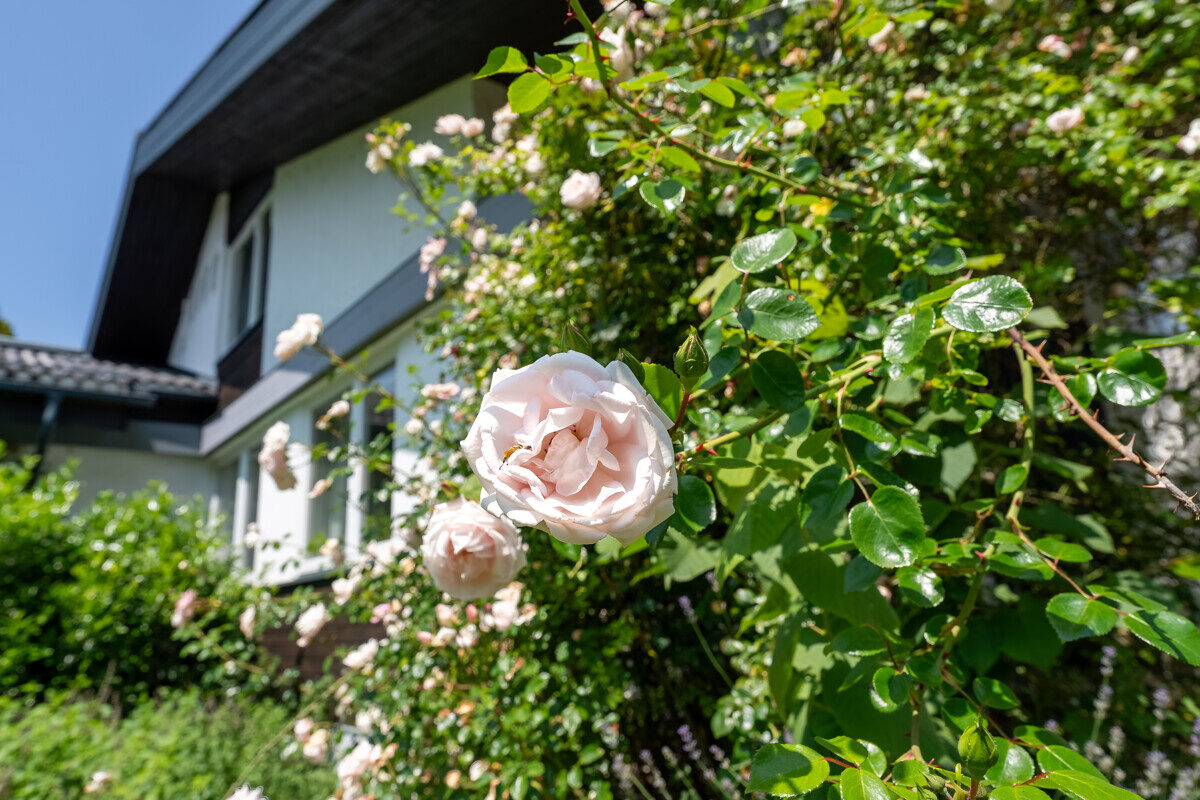 e5d88574-cda1-4b4a-af58-2ffffd21f100.jpg Einfamilienhaus “Sonnengarten”